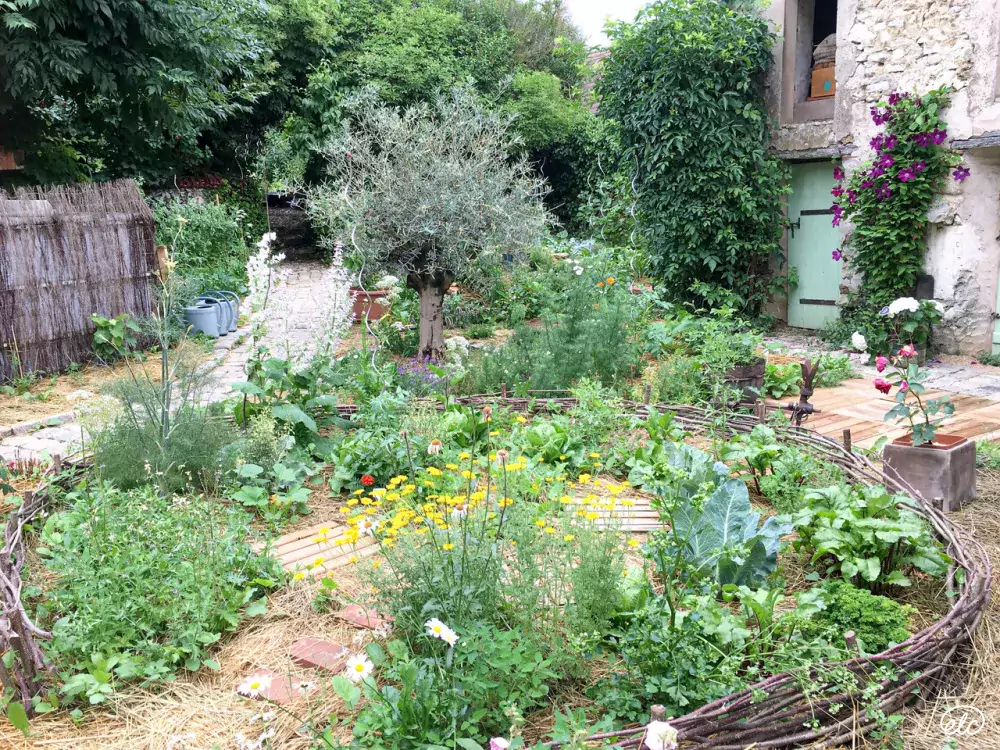 Botanique, Herboristerie et Permaculture