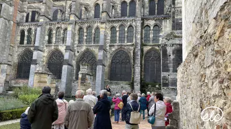 Sorties Culturelles