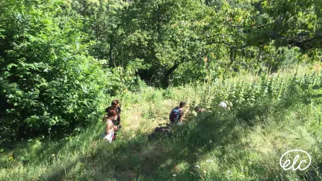 Botanique, Herboristerie et Permaculture